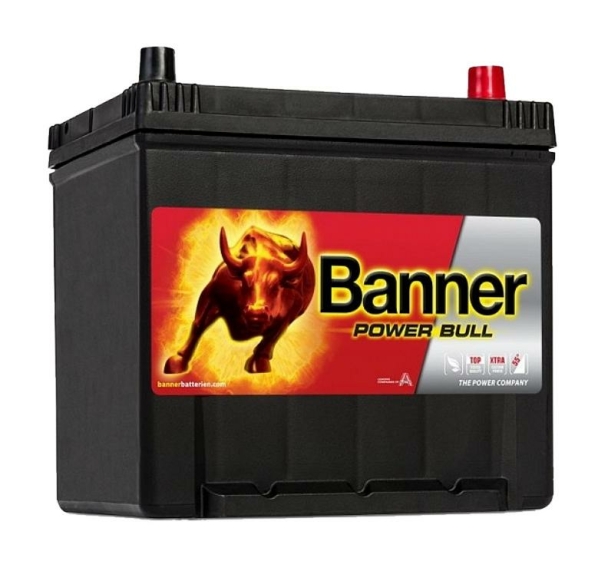 Banner Power Bull P60 62