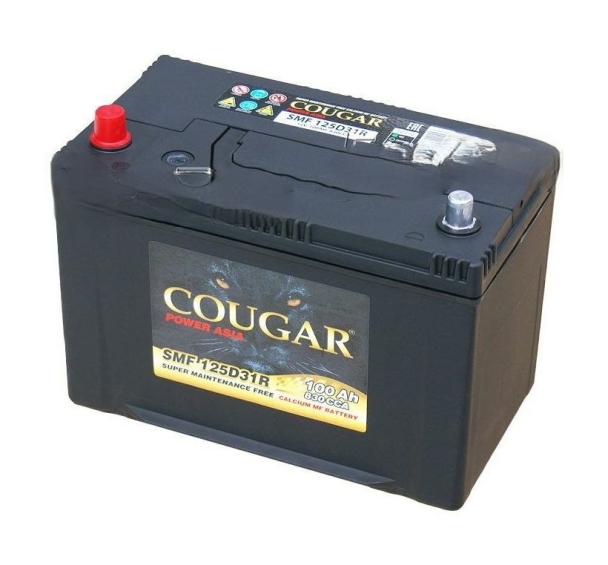 Cougar 125D31R